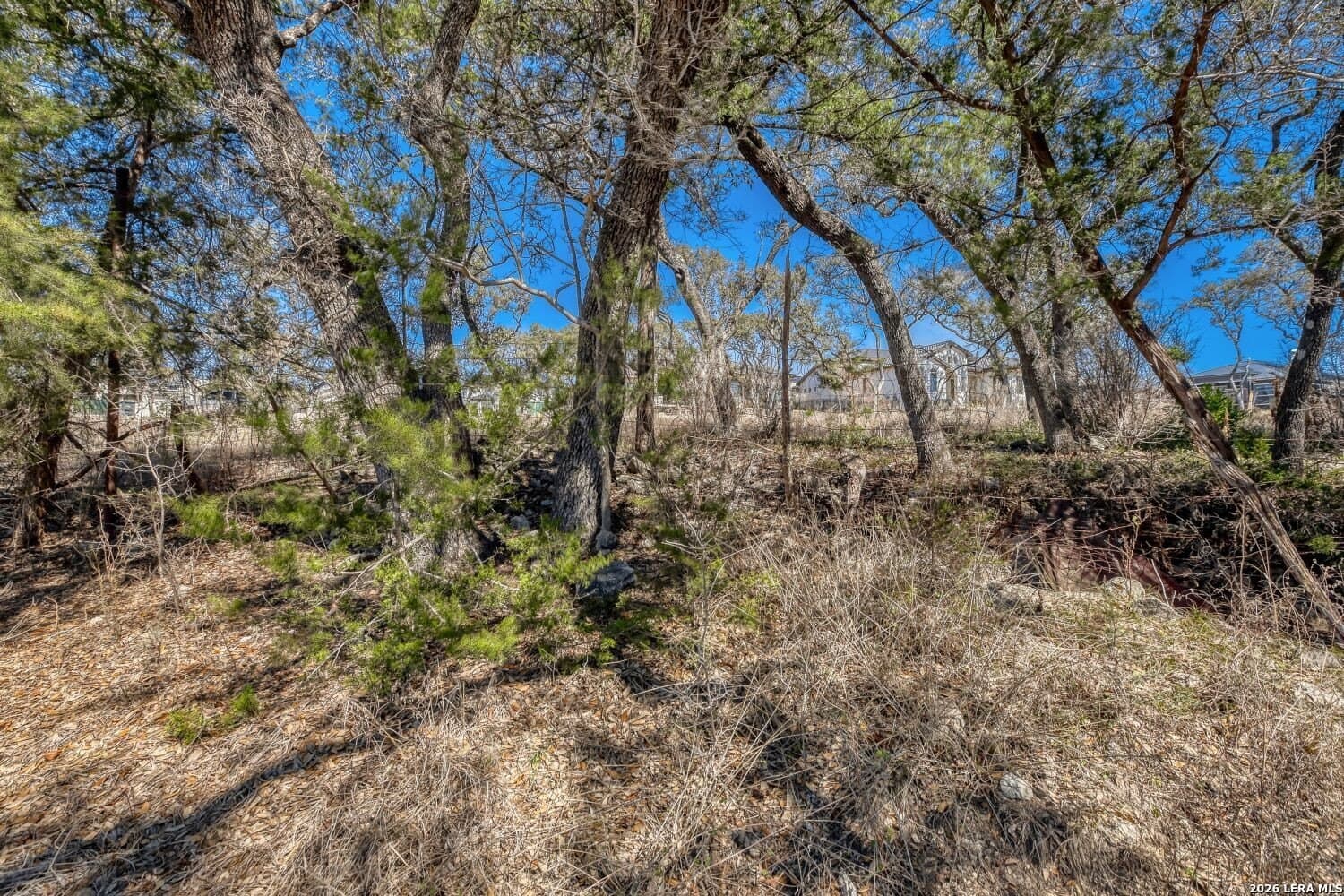 0.24 acres in Bexar County gallery image 3
