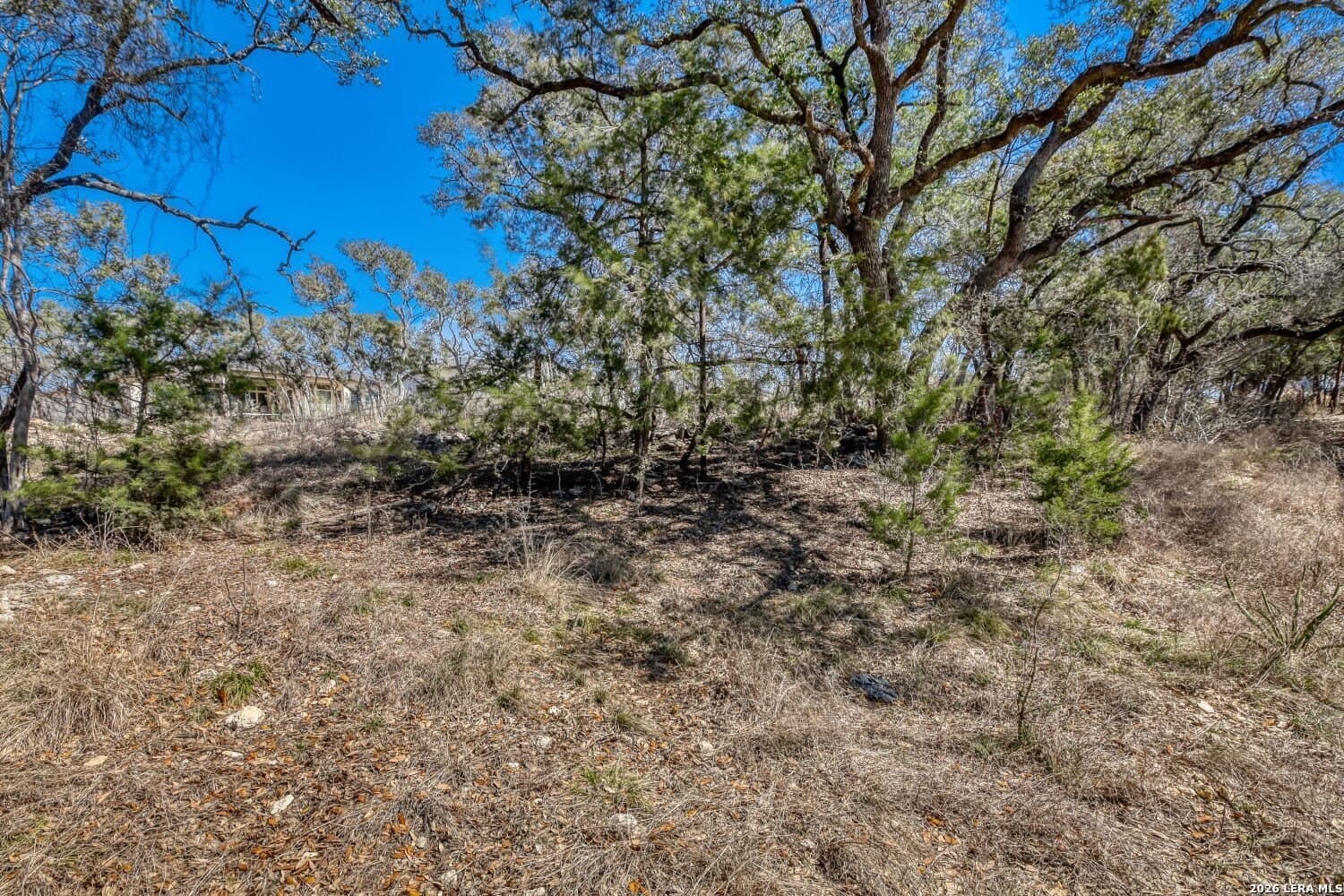 0.24 acres in Bexar County gallery image 2