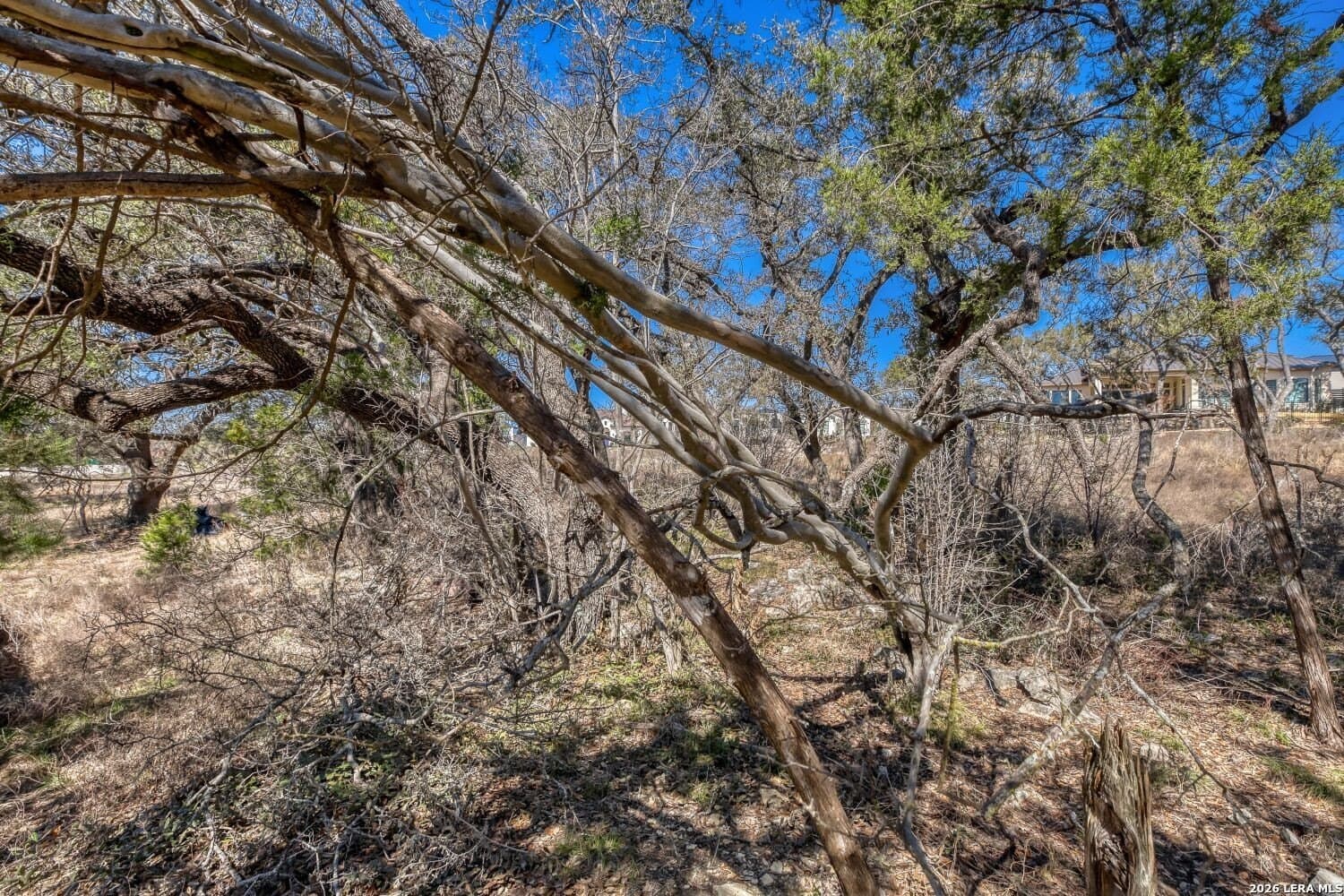 0.24 acres in Bexar County gallery image 4
