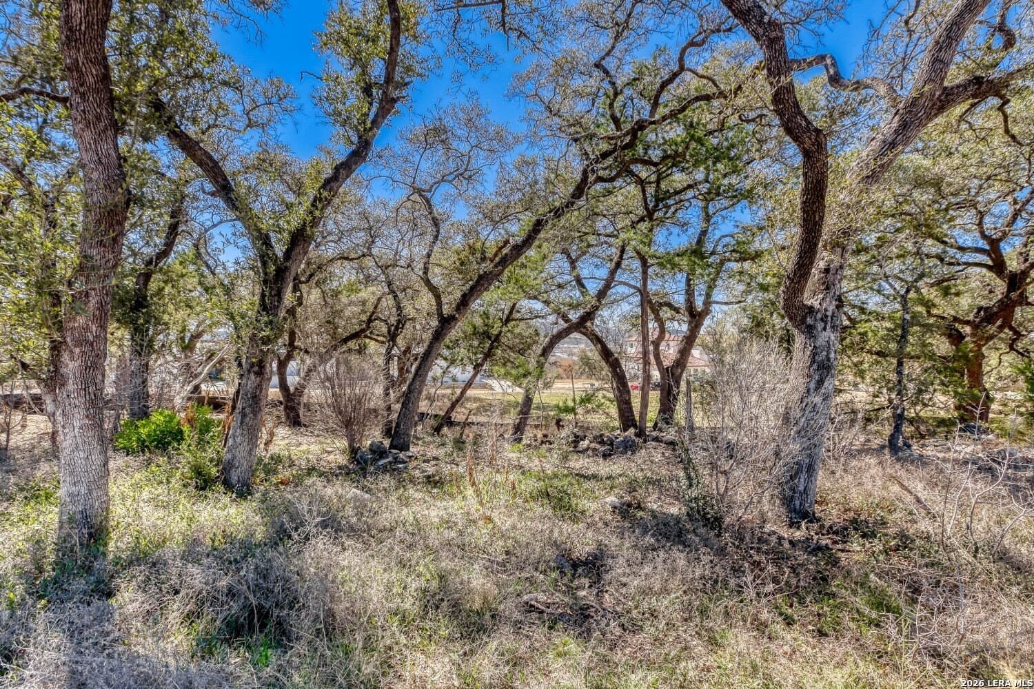 0.24 acres in Bexar County - photo 9