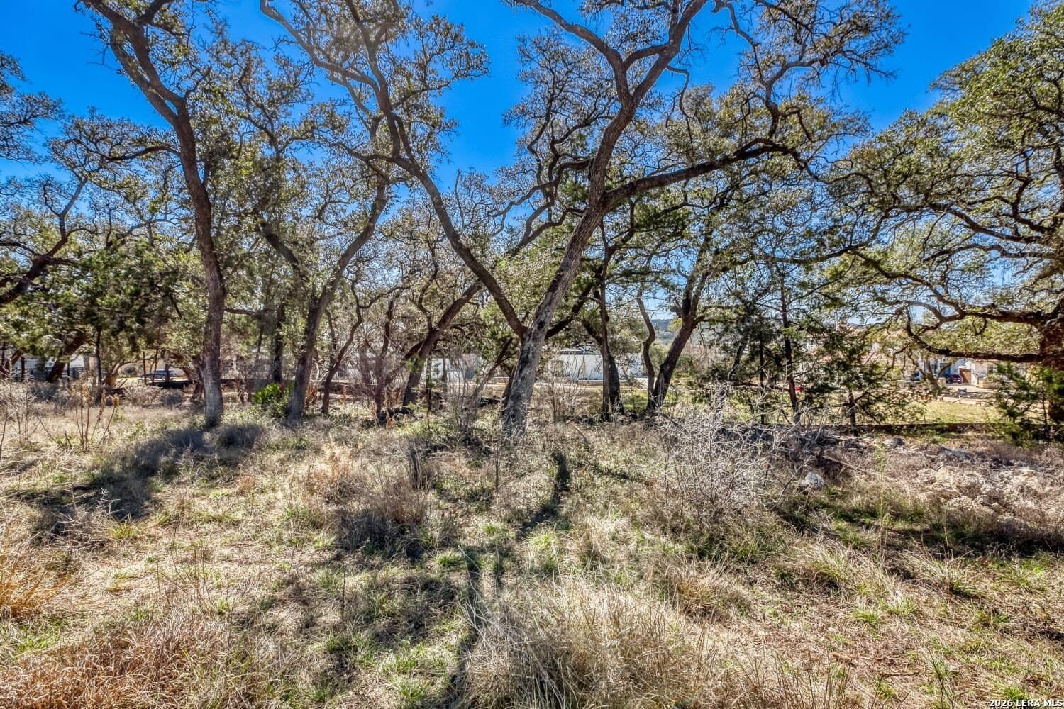 0.24 acres in Bexar County - photo 11