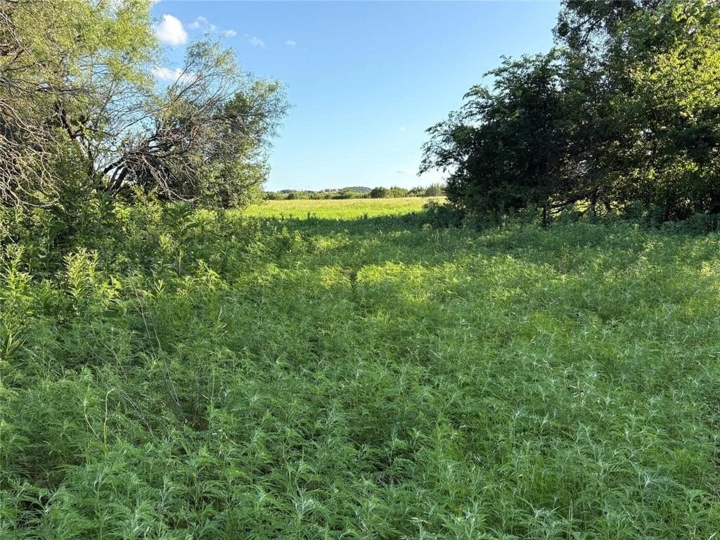 10.01 acres in Bosque County