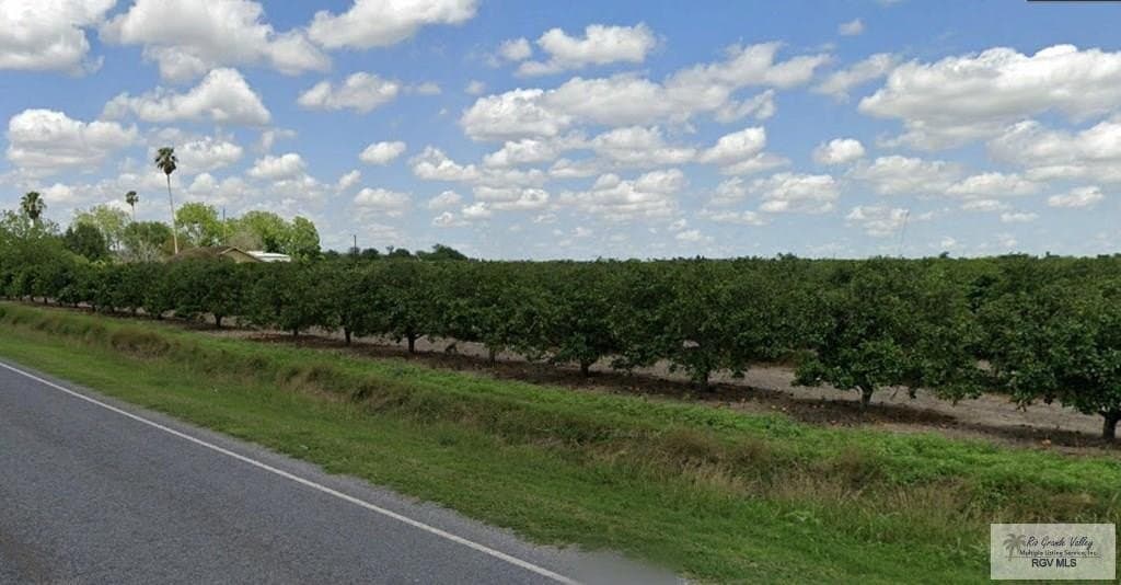 51.92 acres in CAMERON County gallery image 2
