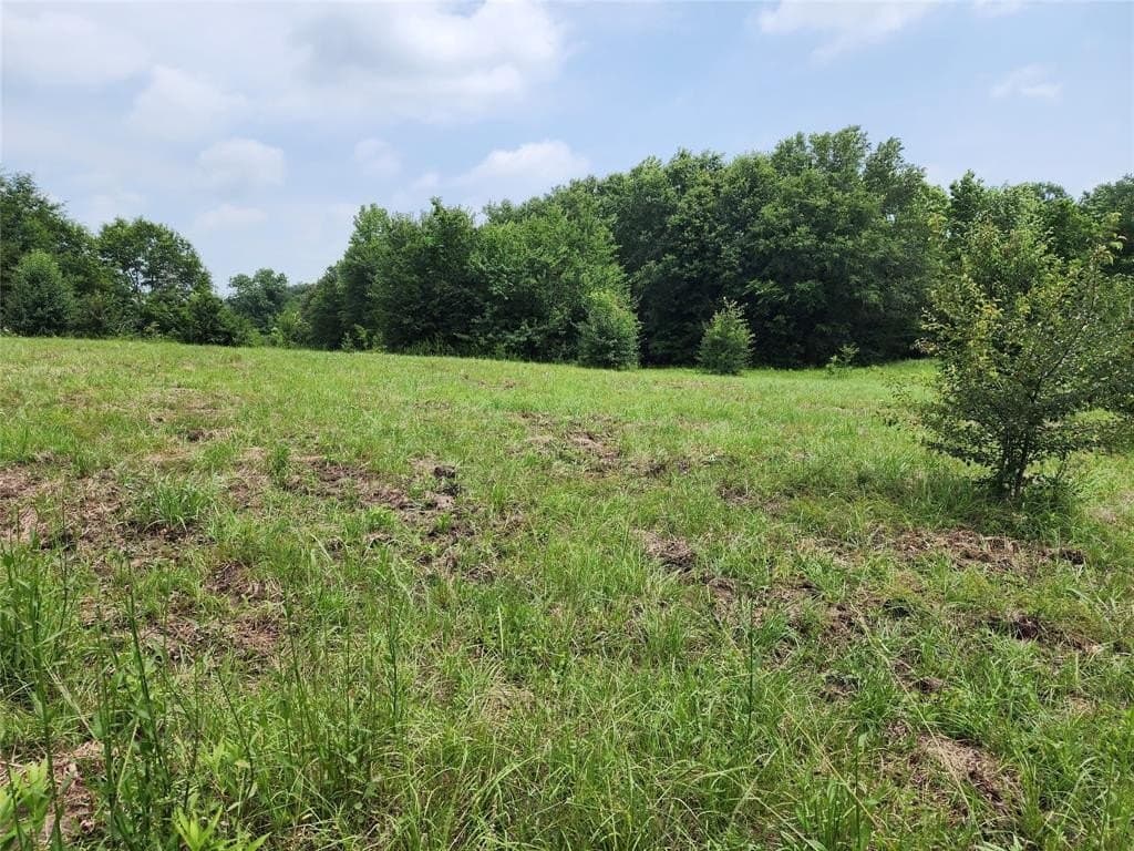 98.34 acres in Wood County gallery image 3