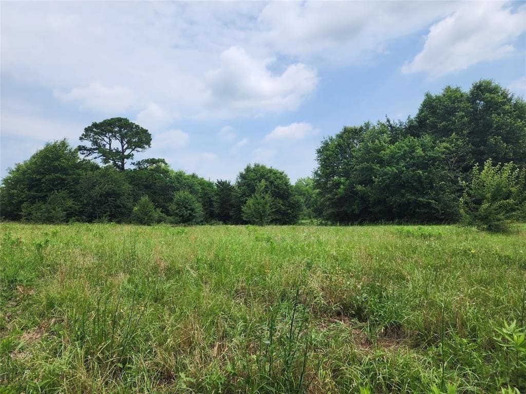 98.34 acres in Wood County gallery image 4