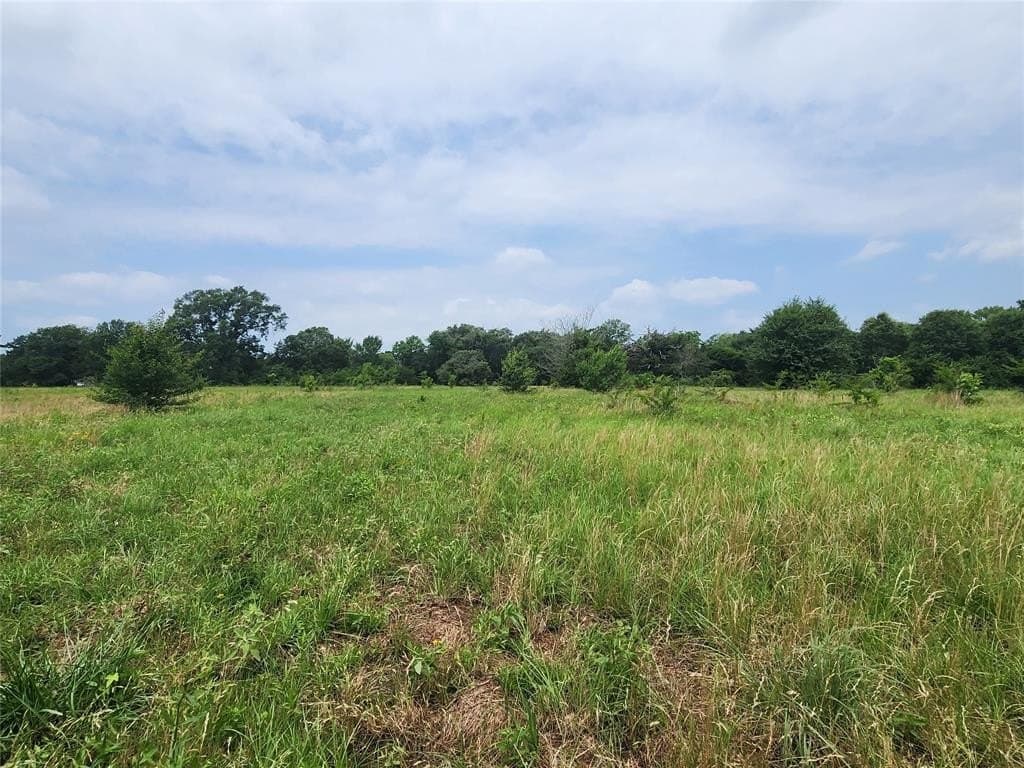 98.34 acres in Wood County featured view