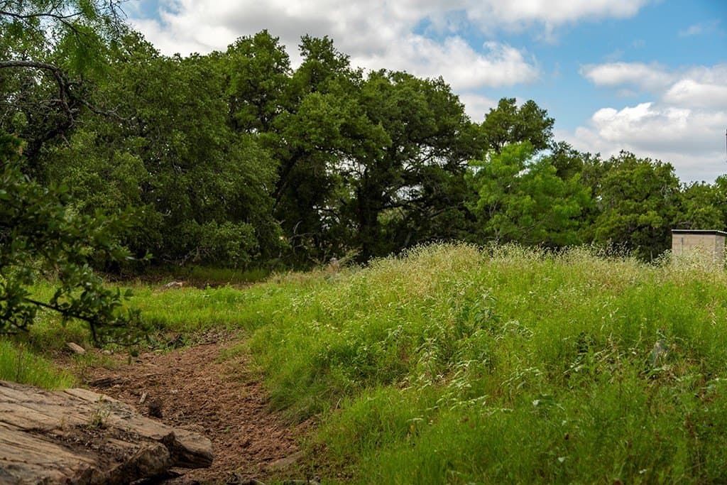 20 acres in Mason County gallery image 3