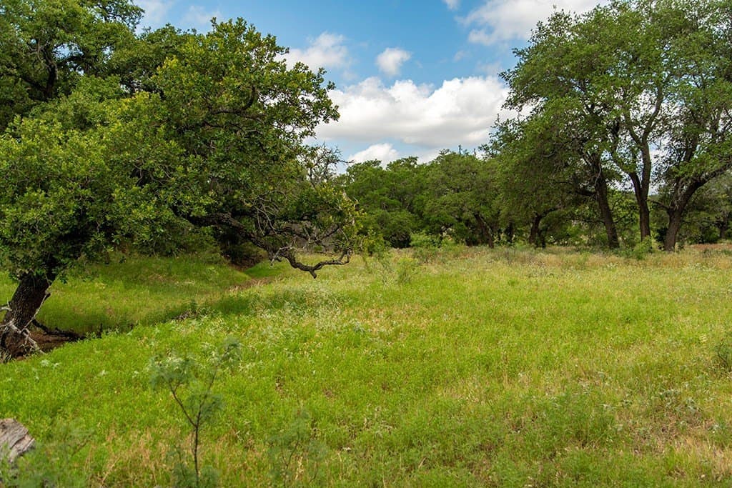 20 acres in Mason County gallery image 2