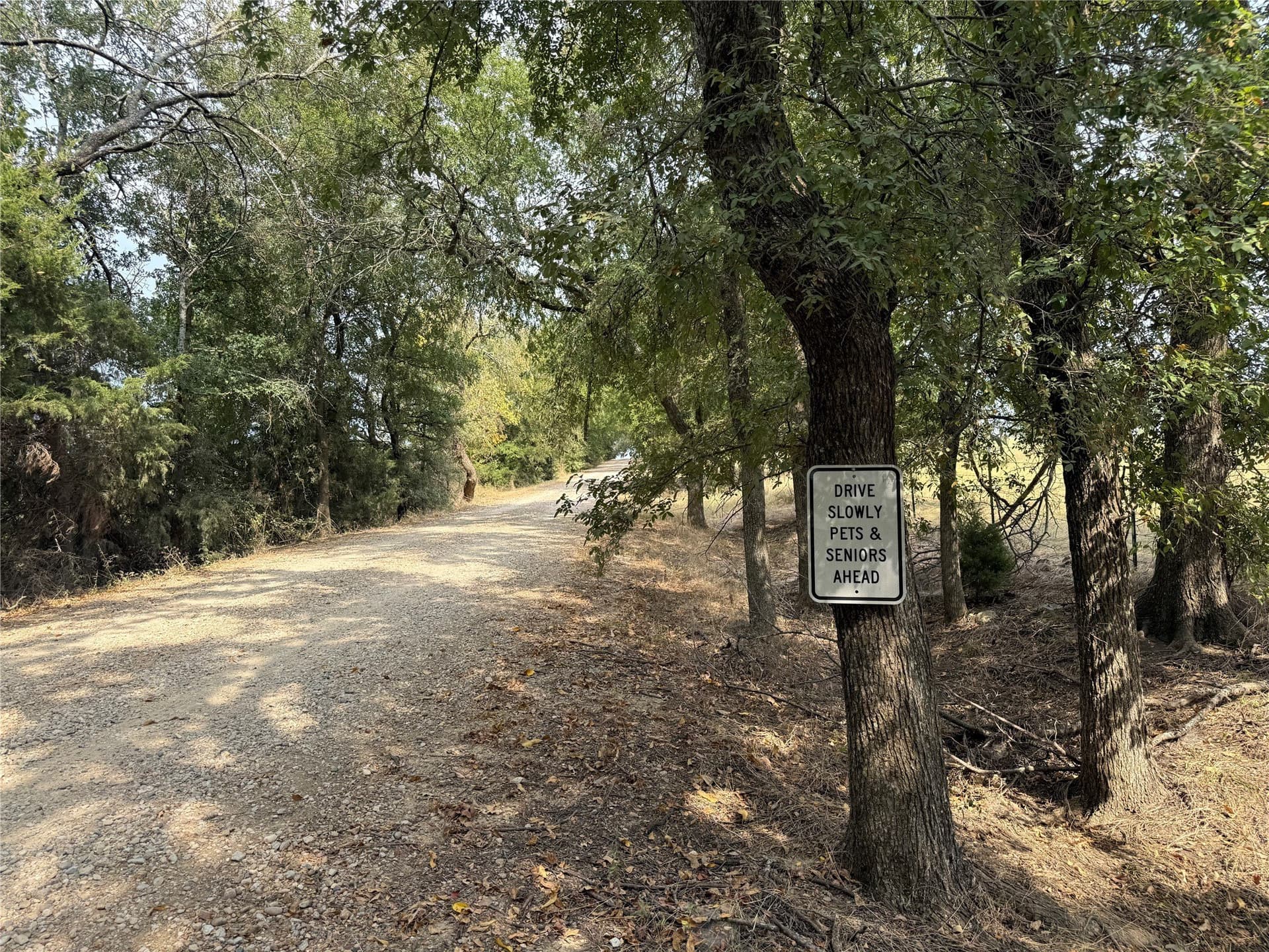 36.81 acres in Fannin County - photo 13
