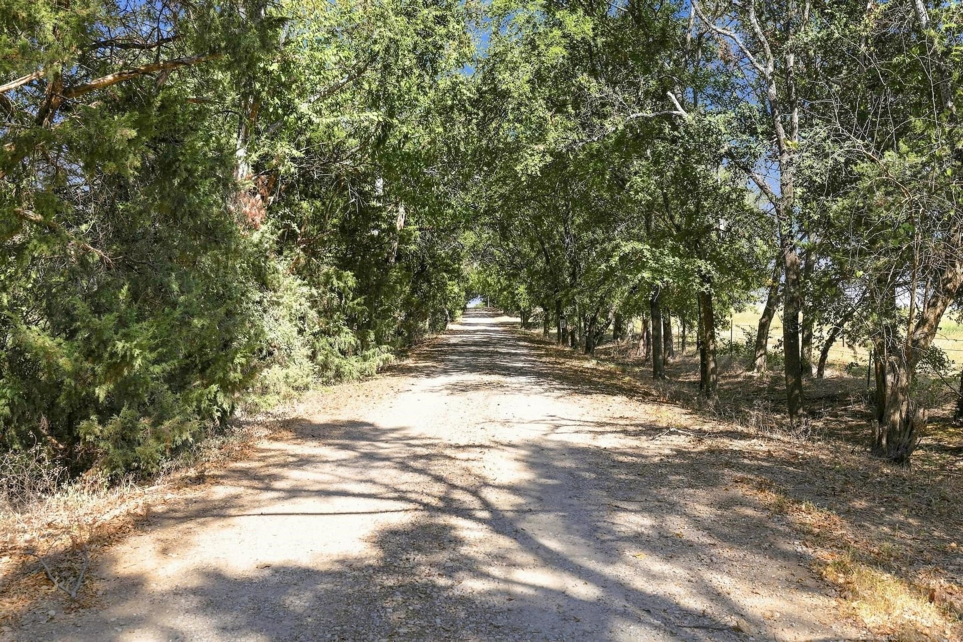 36.81 acres in Fannin County - photo 11
