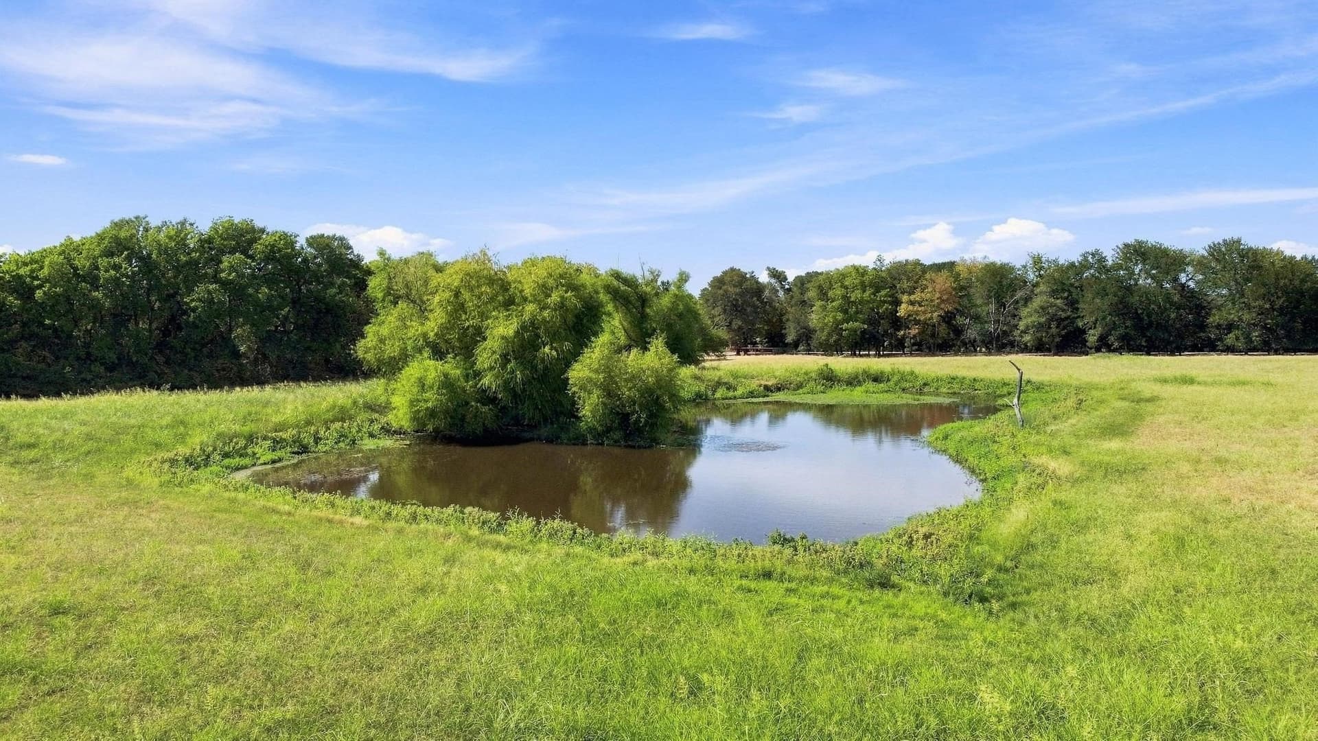 36.81 acres in Fannin County - photo 39