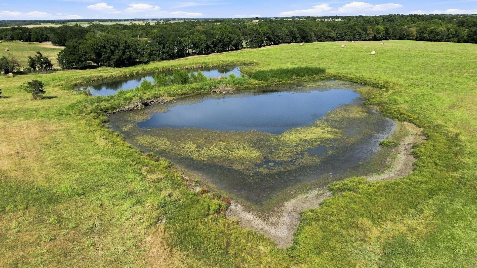 36.81 acres in Fannin County - photo 4