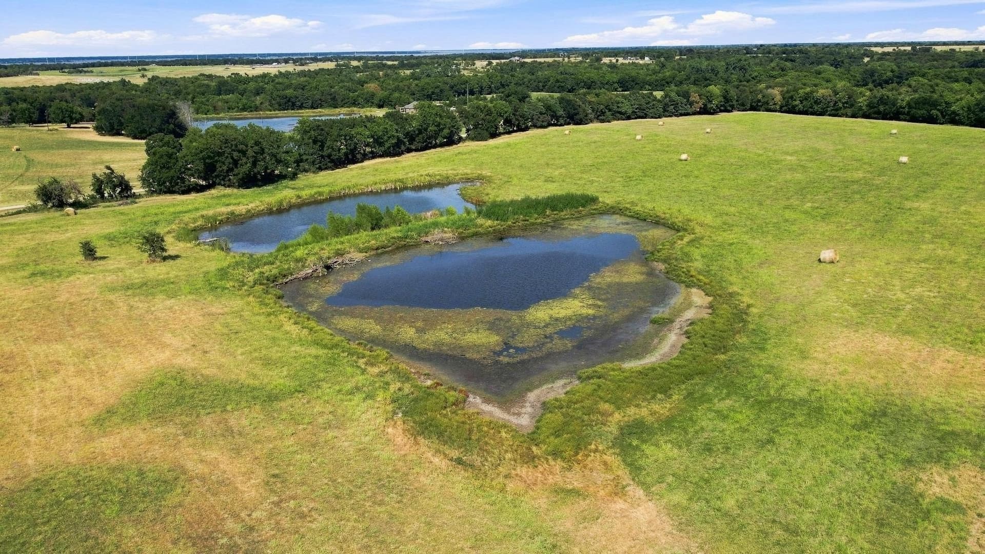 36.81 acres in Fannin County - photo 5
