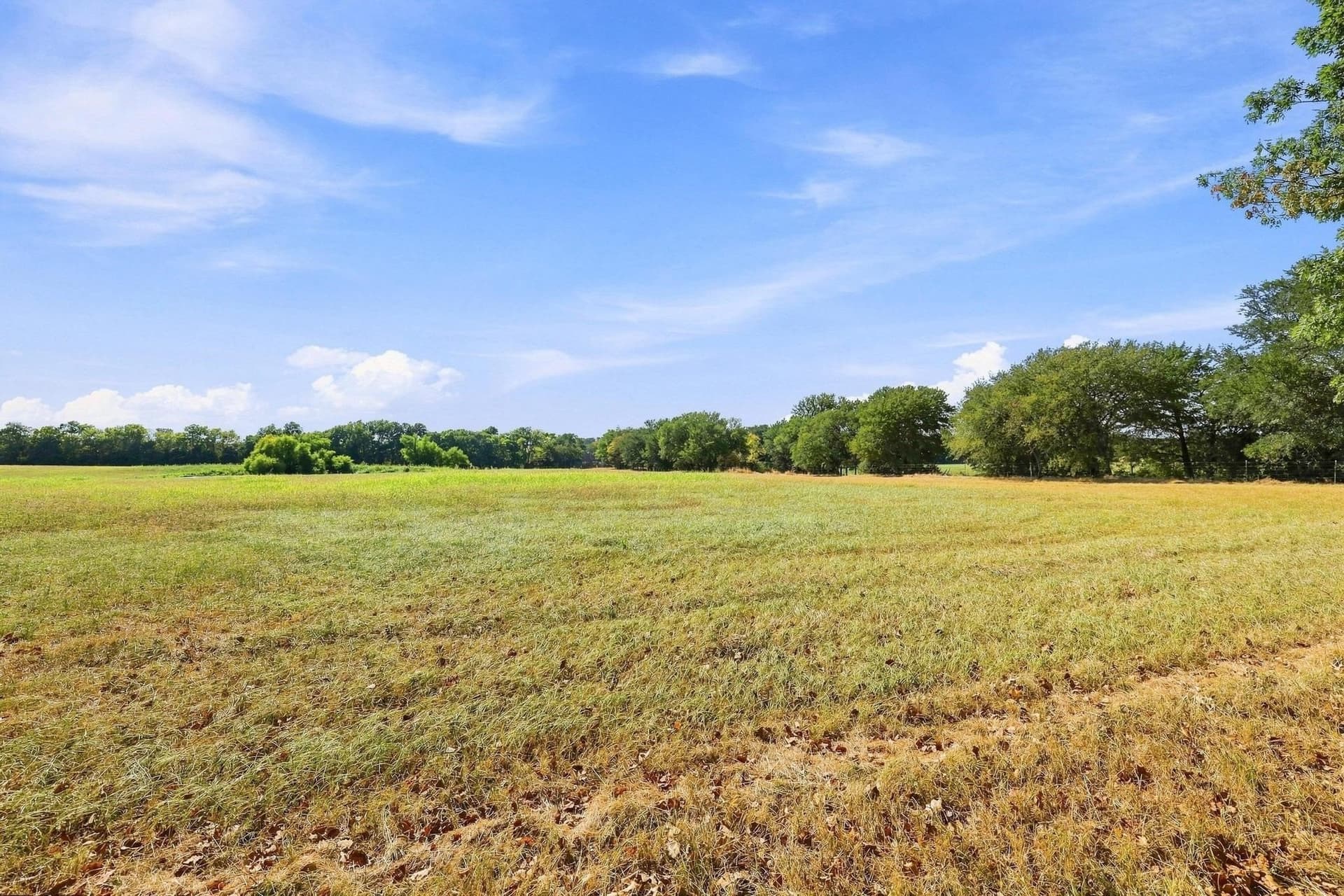36.81 acres in Fannin County - photo 40