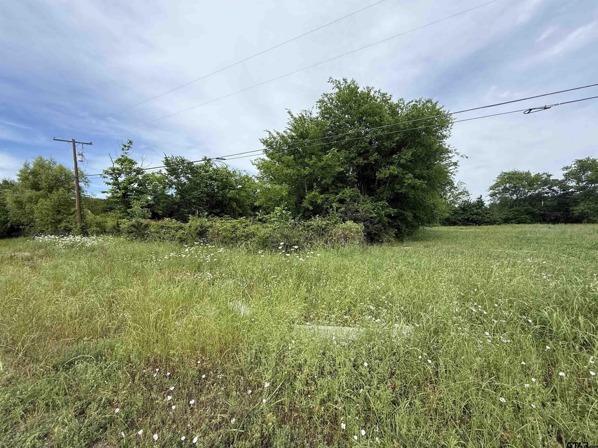 0.5 acres in Red River County gallery image 4