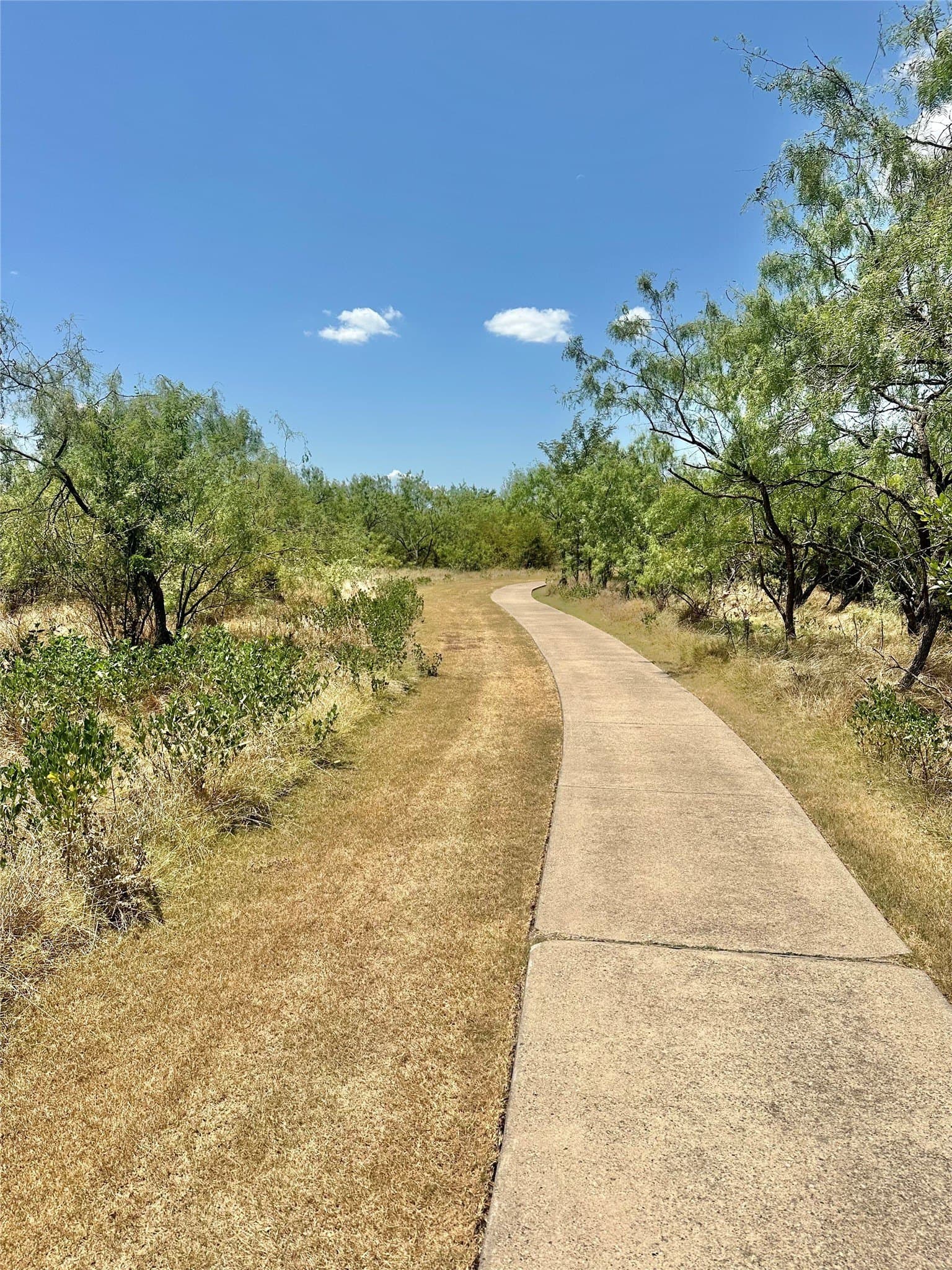 2 acres in Rockwall County - photo 13