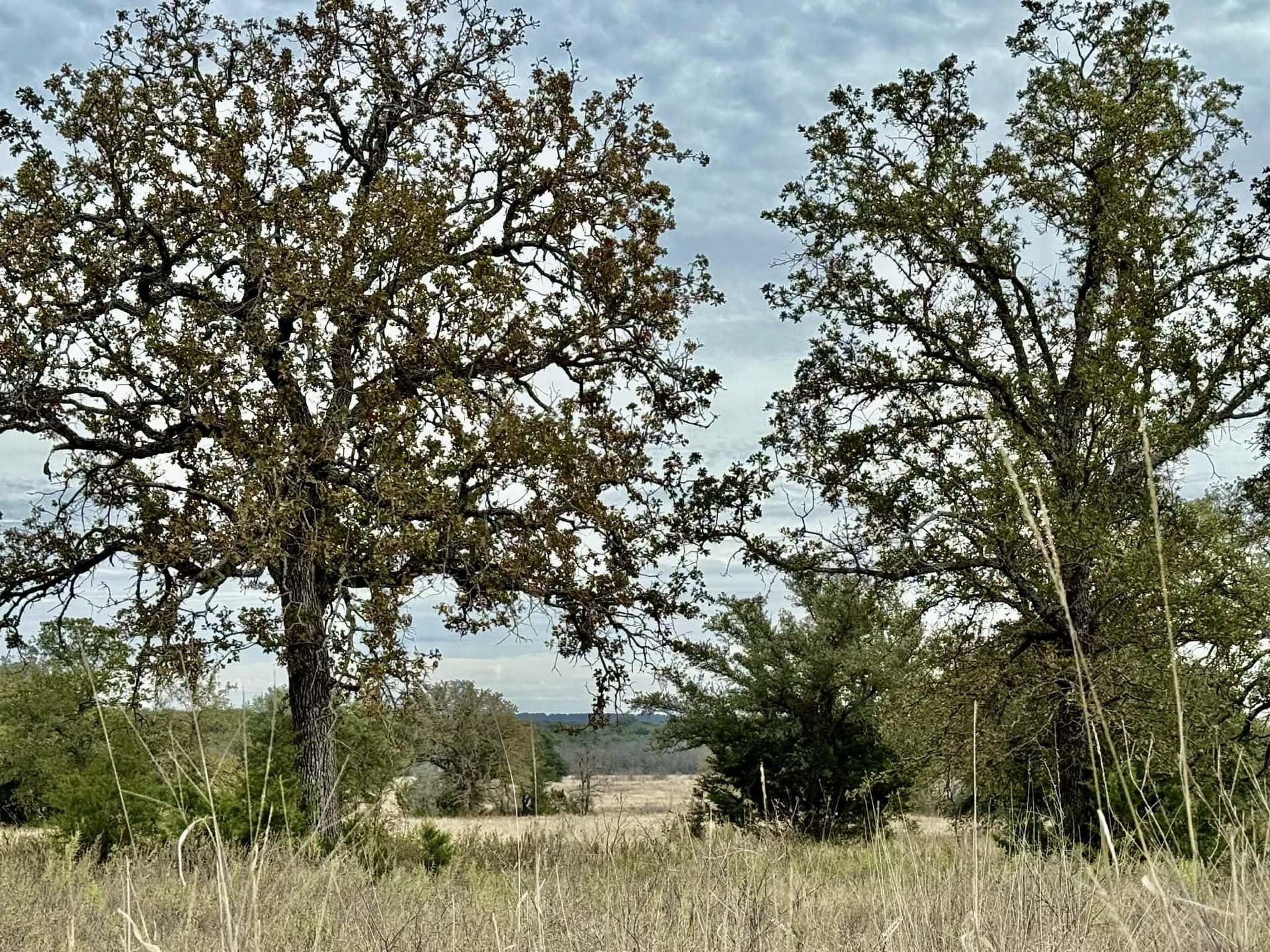 492.93 acres in Bosque County - photo 37
