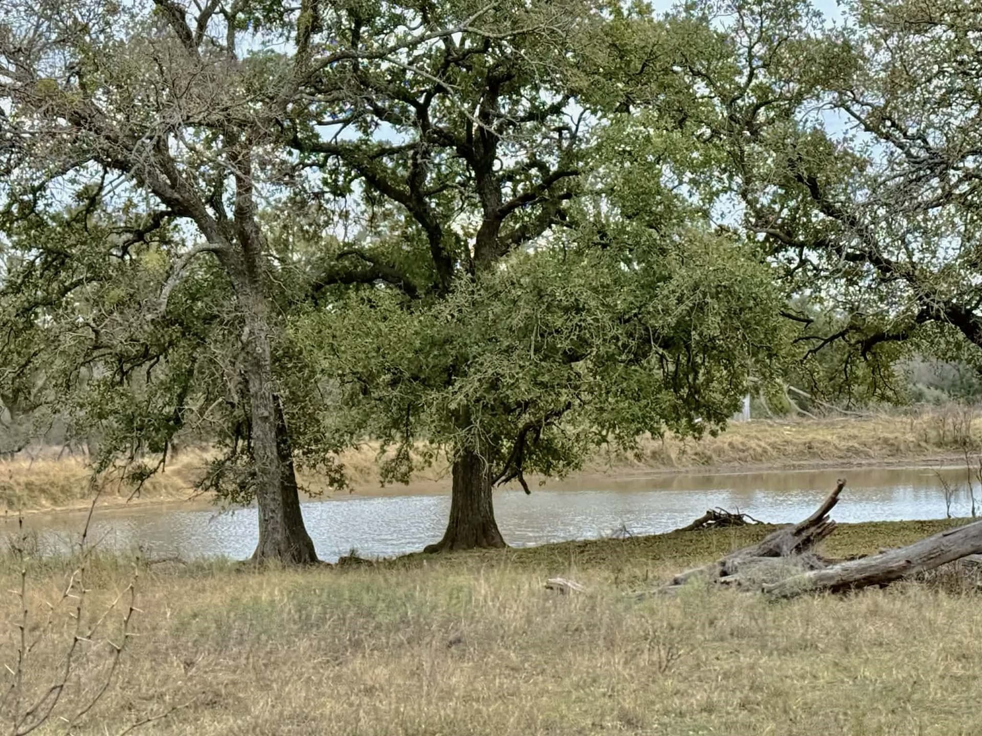 492.93 acres in Bosque County - photo 28