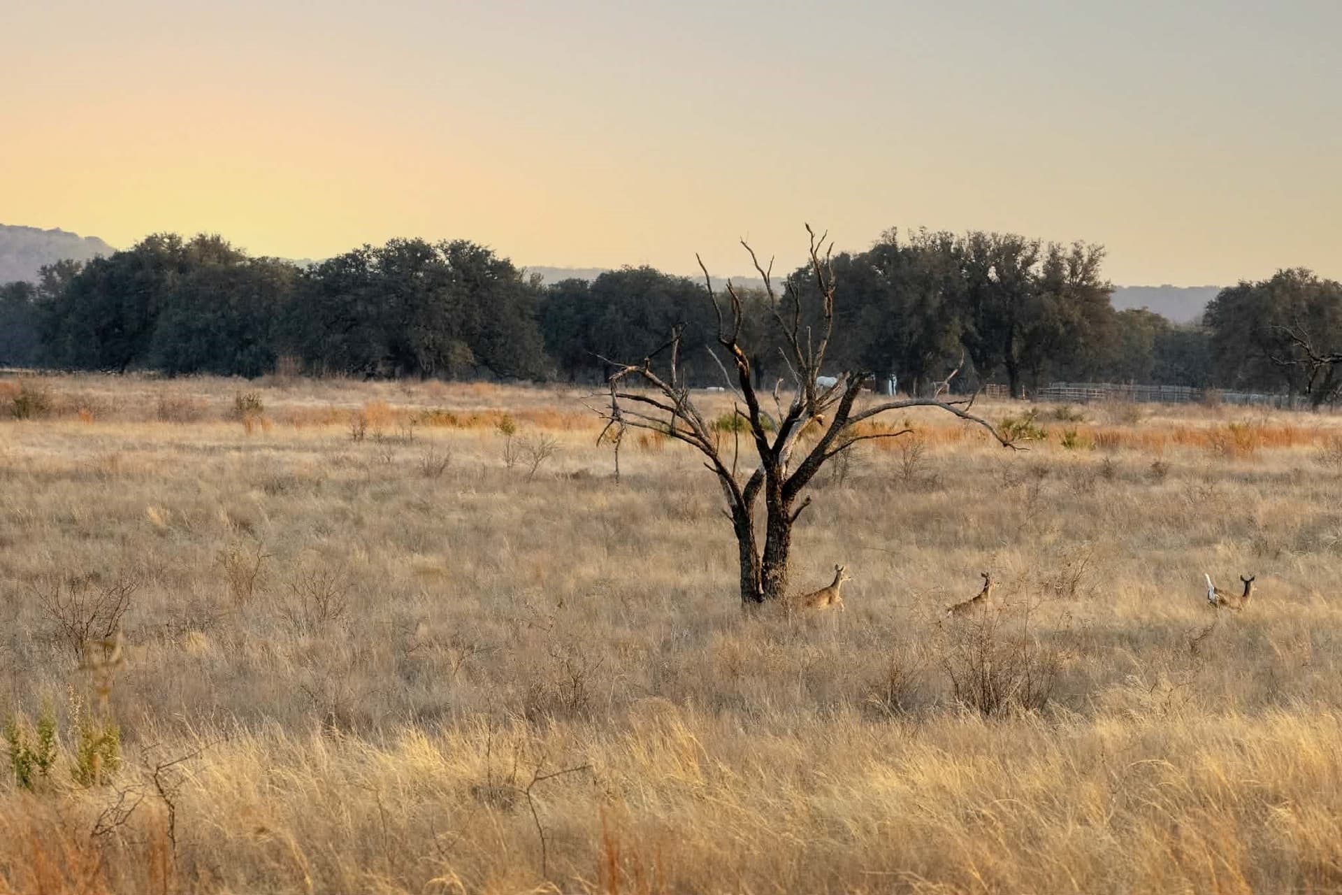 492.93 acres in Bosque County - photo 24
