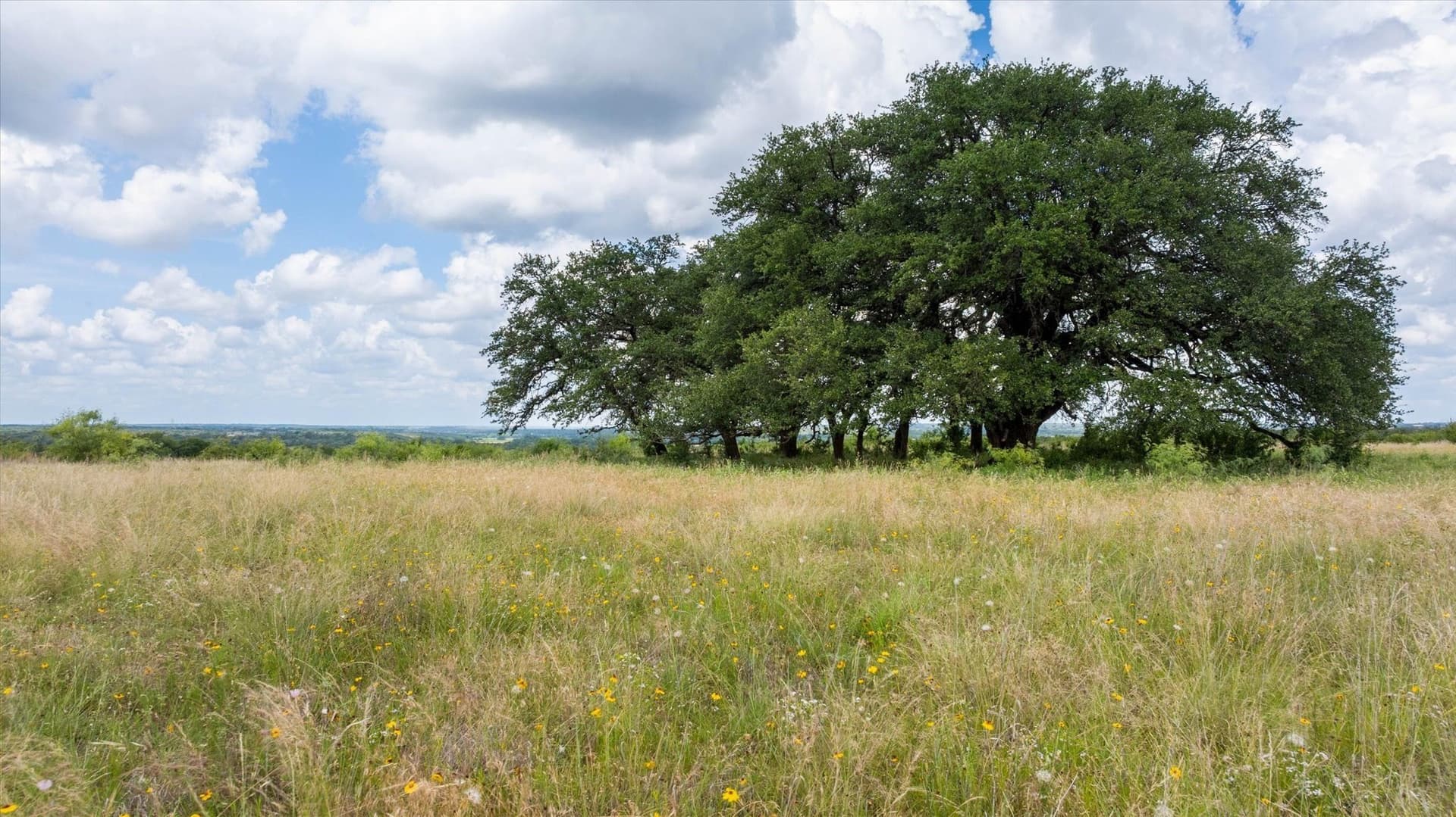 492.93 acres in Bosque County - photo 12