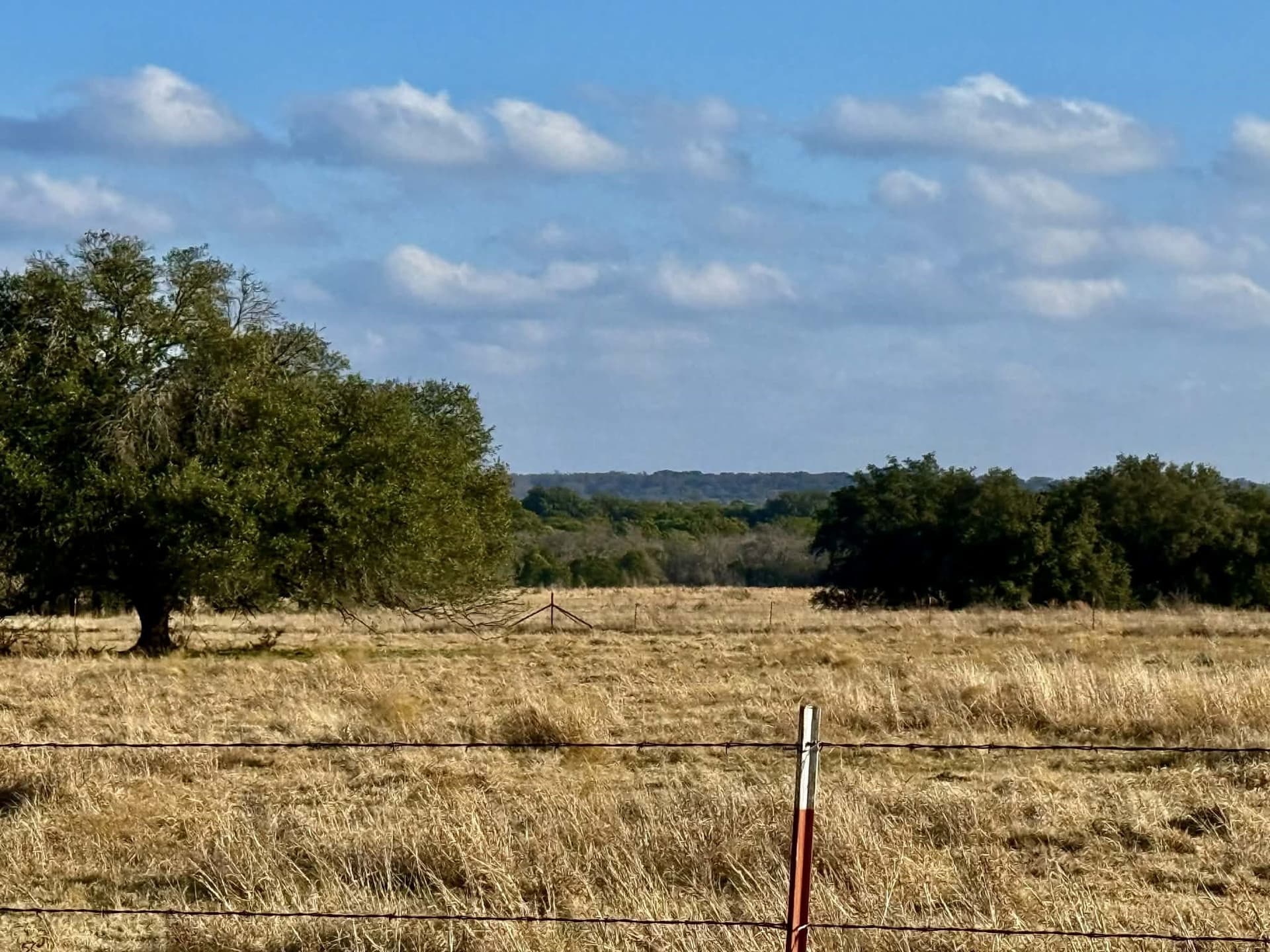 492.93 acres in Bosque County - photo 33