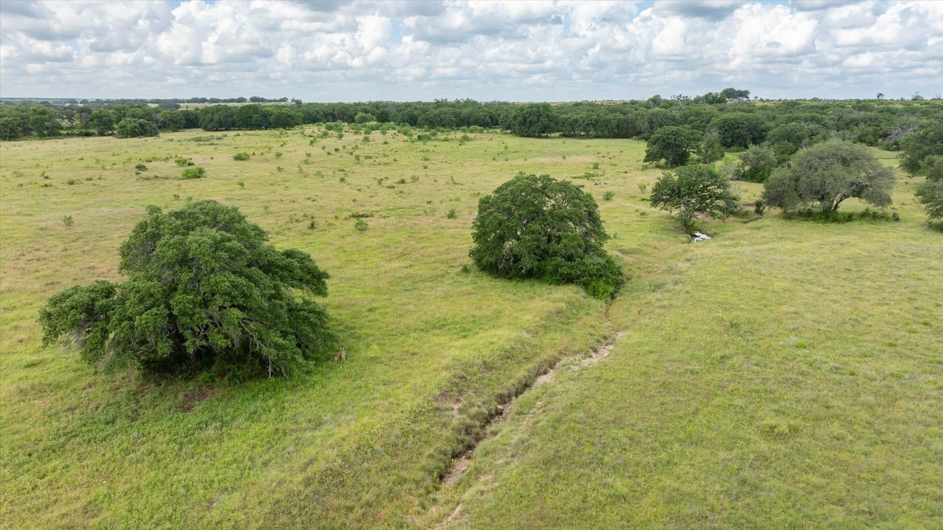 492.93 acres in Bosque County - photo 10
