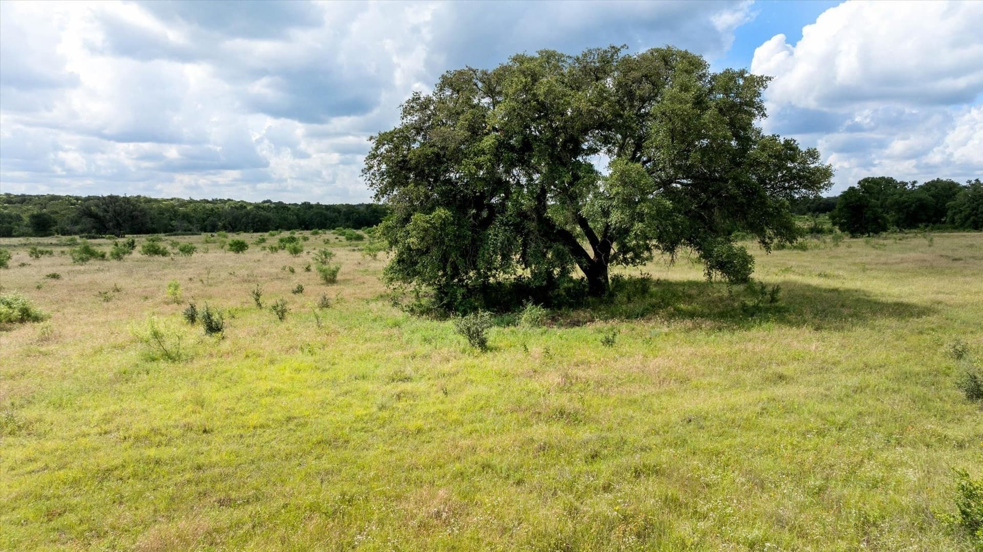 492.93 acres in Bosque County - photo 17