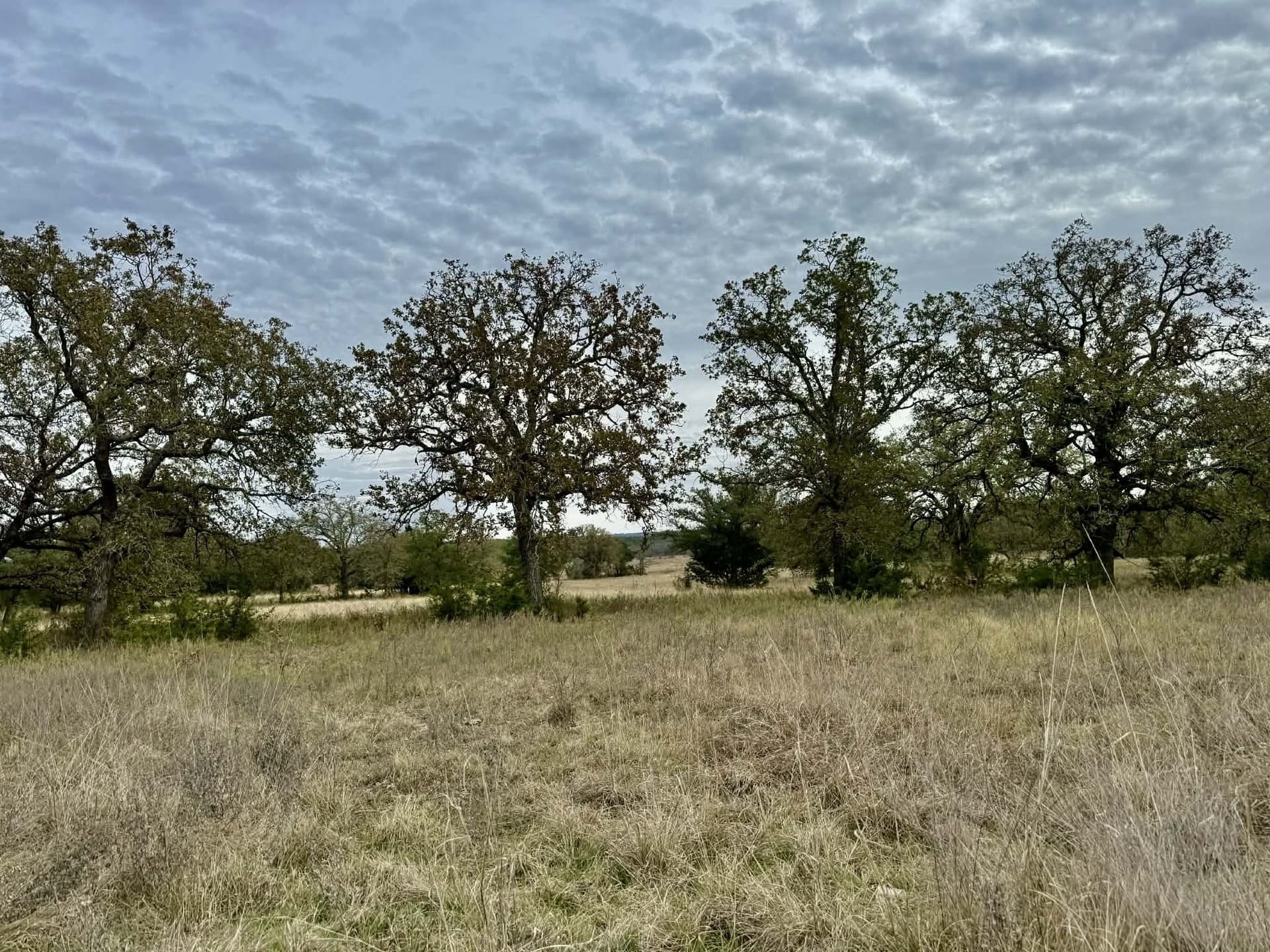 492.93 acres in Bosque County - photo 30