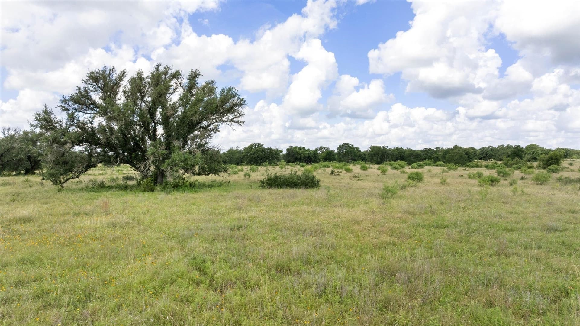 492.93 acres in Bosque County - photo 20