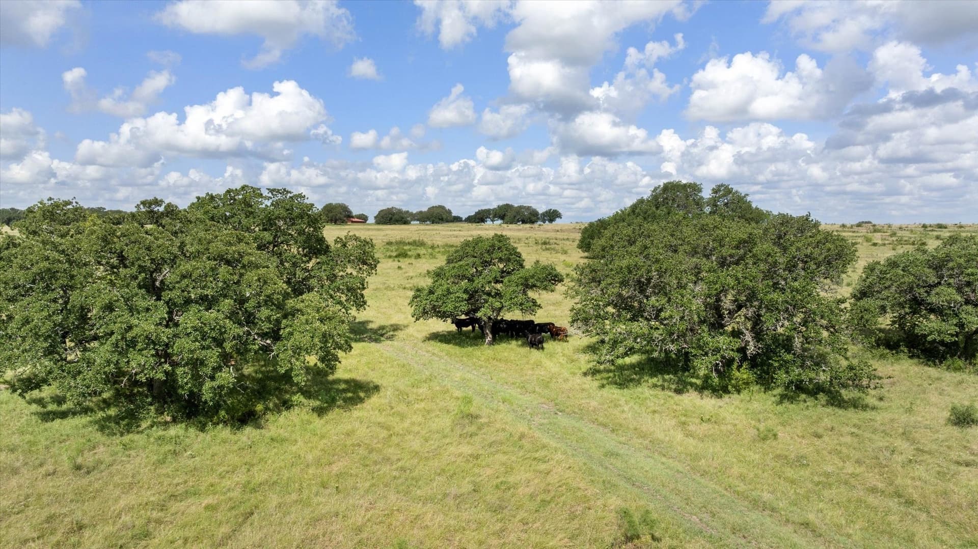 492.93 acres in Bosque County - photo 9