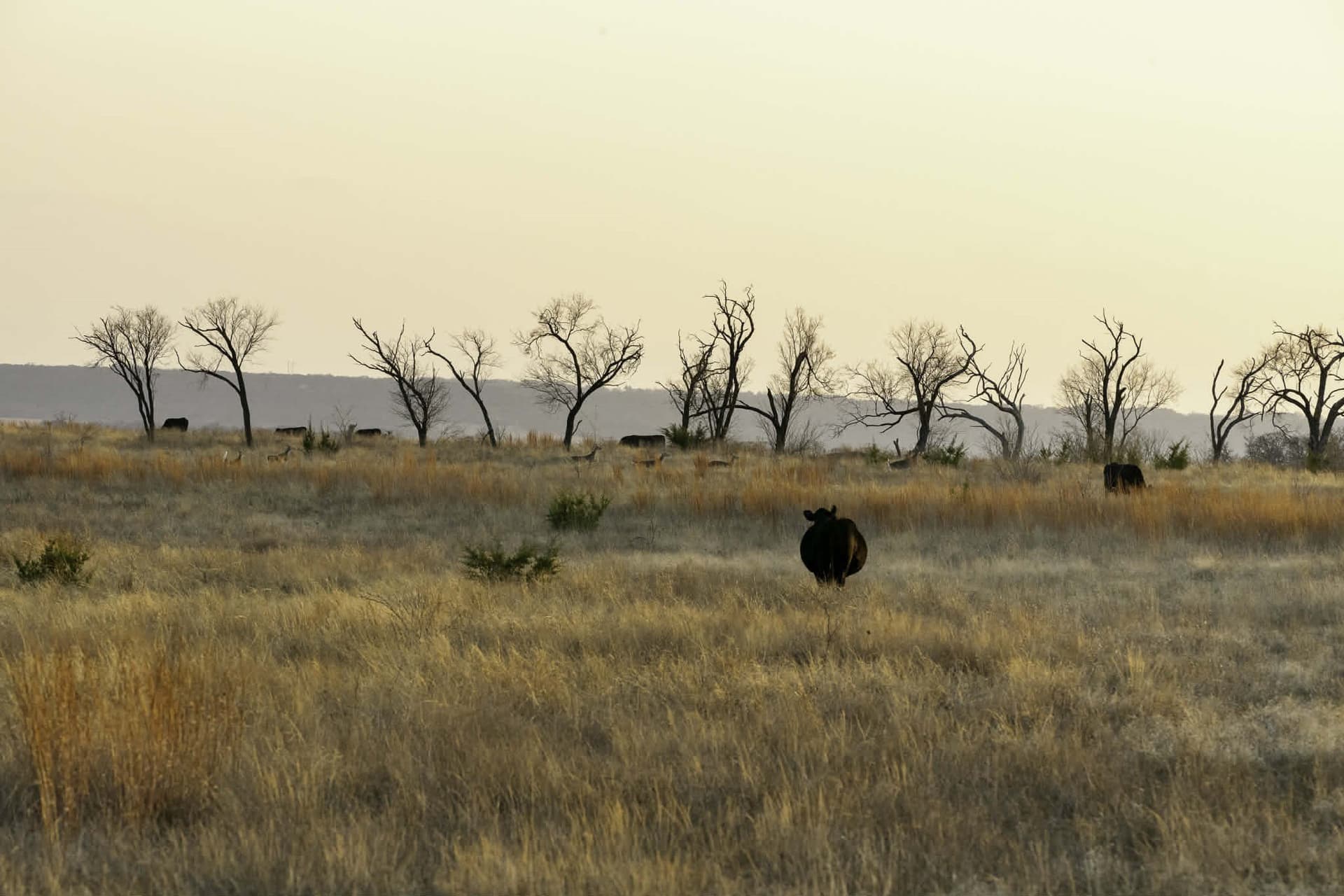 492.93 acres in Bosque County - photo 35