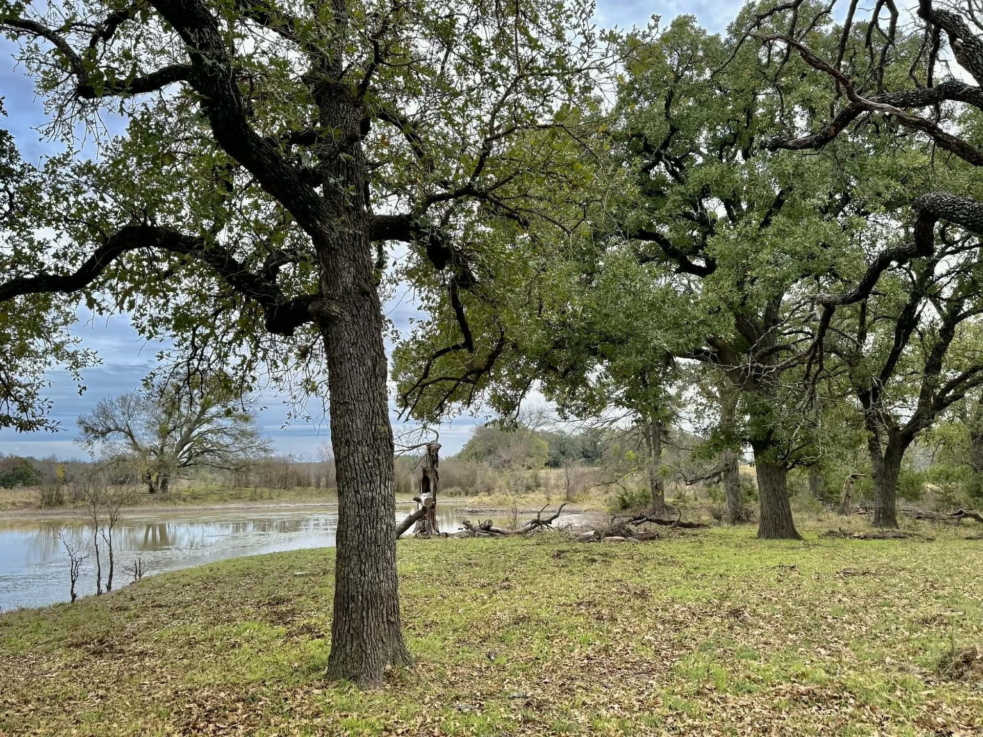 492.93 acres in Bosque County - photo 38