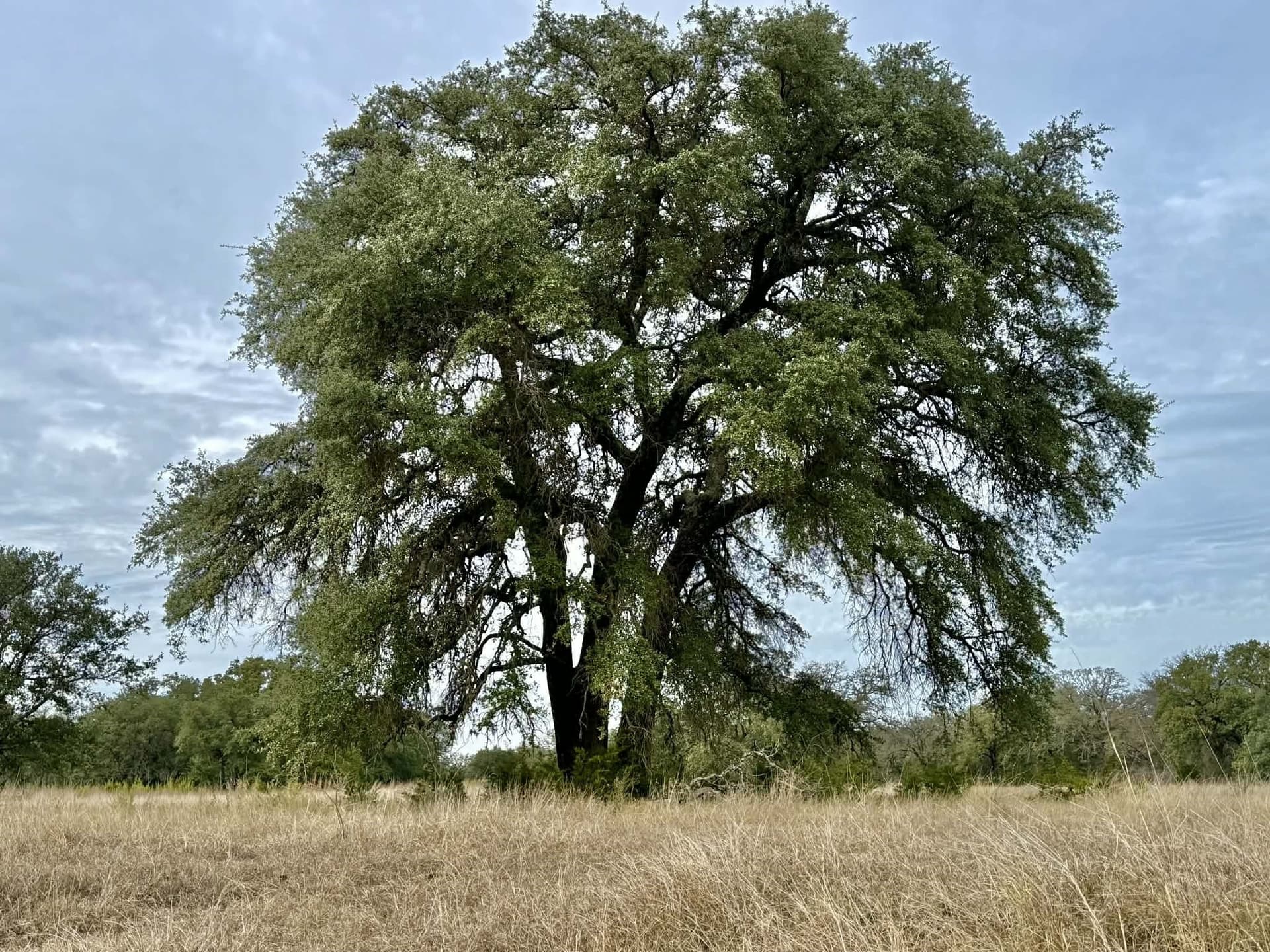 492.93 acres in Bosque County - photo 40