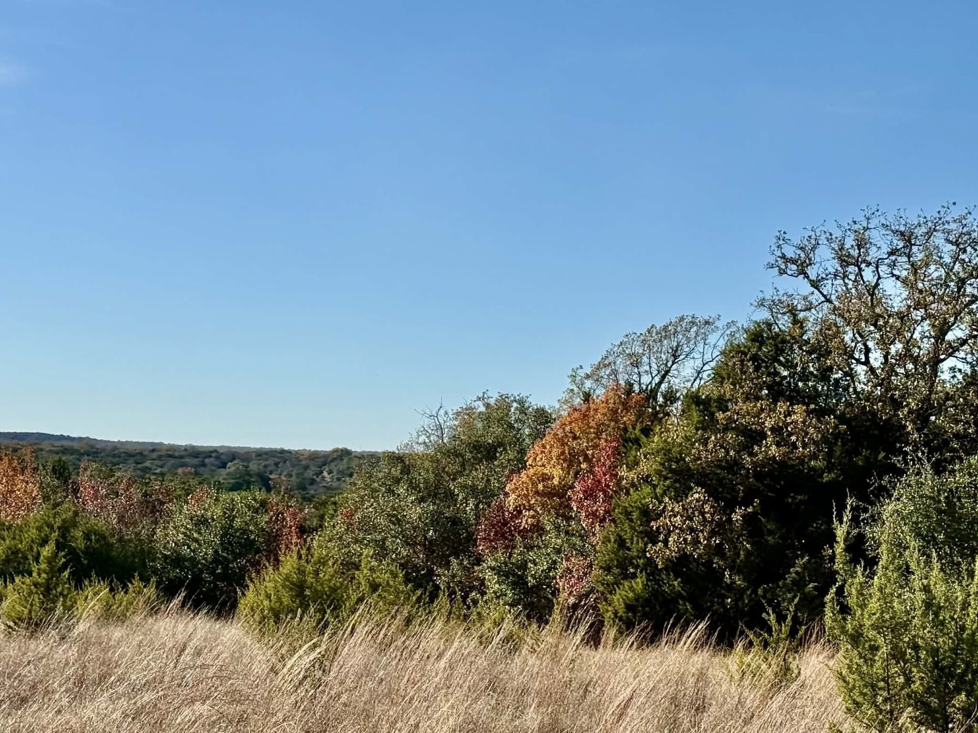 492.93 acres in Bosque County - photo 27