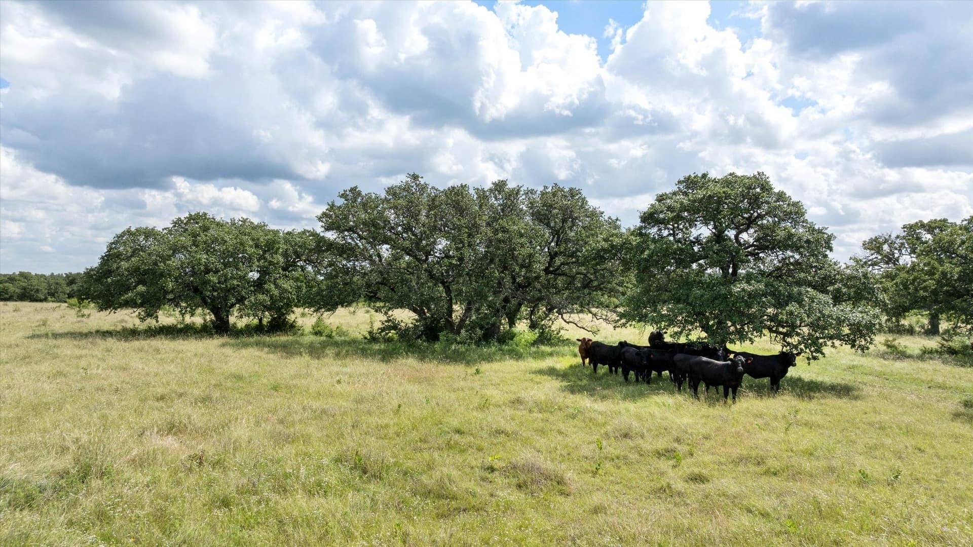 492.93 acres in Bosque County - photo 3