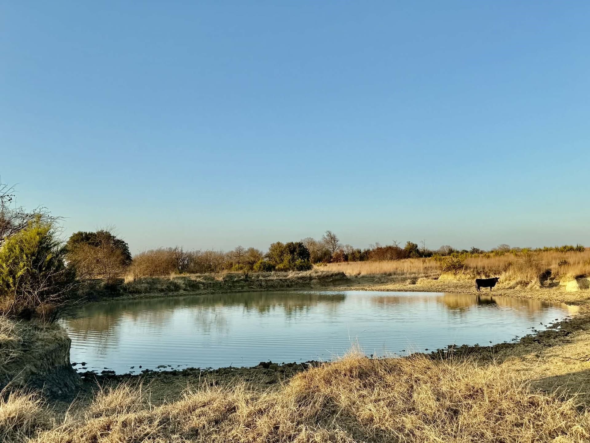 492.93 acres in Bosque County - photo 39