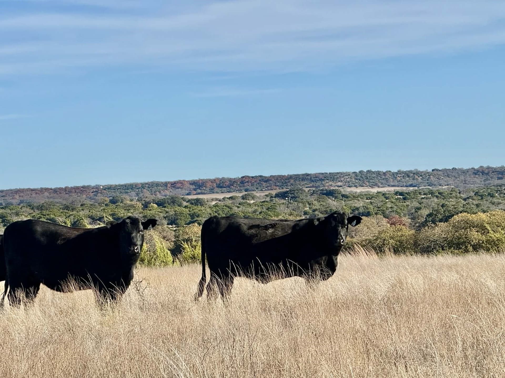 492.93 acres in Bosque County - photo 25