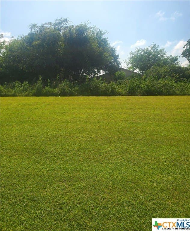 0.12 acres in Calhoun County gallery image 2