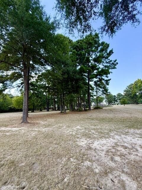 0.89 acres in Texas County - photo 6