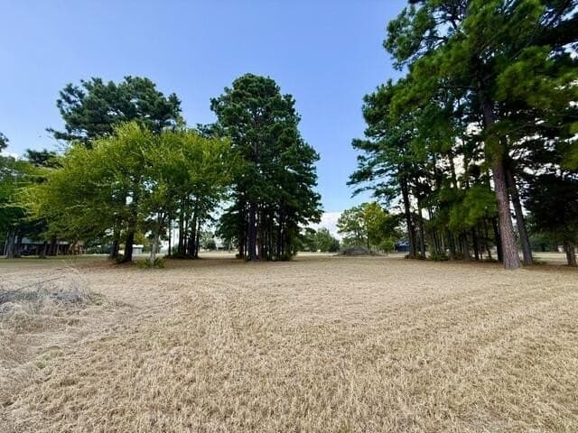 0.89 acres in Texas County - photo 4