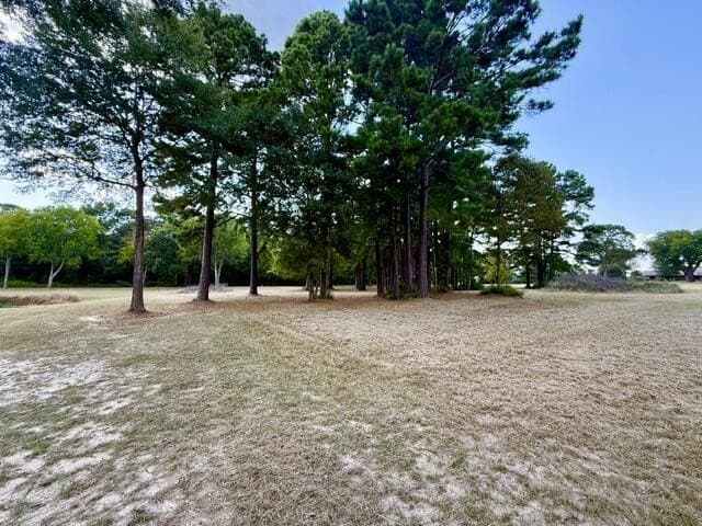 0.89 acres in Texas County - photo 5