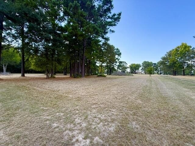 0.89 acres in Texas County - photo 3