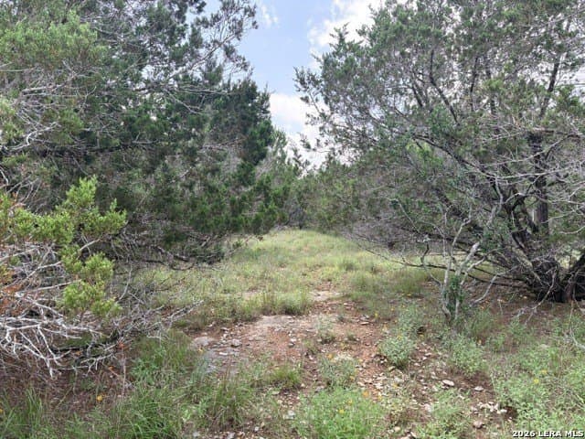 3 acres in Comal County - photo 15
