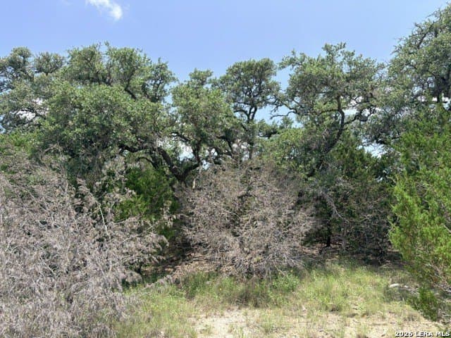 3 acres in Comal County - photo 7