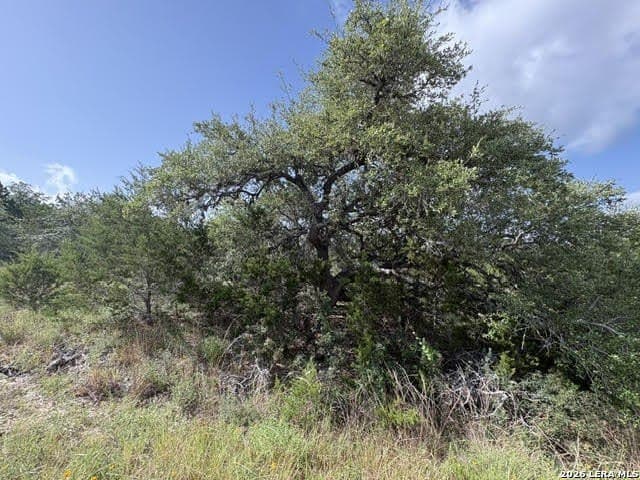 3 acres in Comal County - photo 29