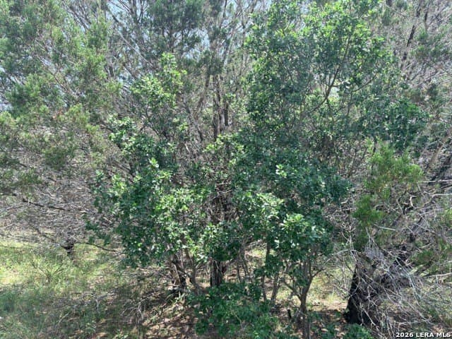 3 acres in Comal County featured view