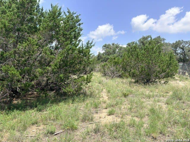 3 acres in Comal County - photo 8