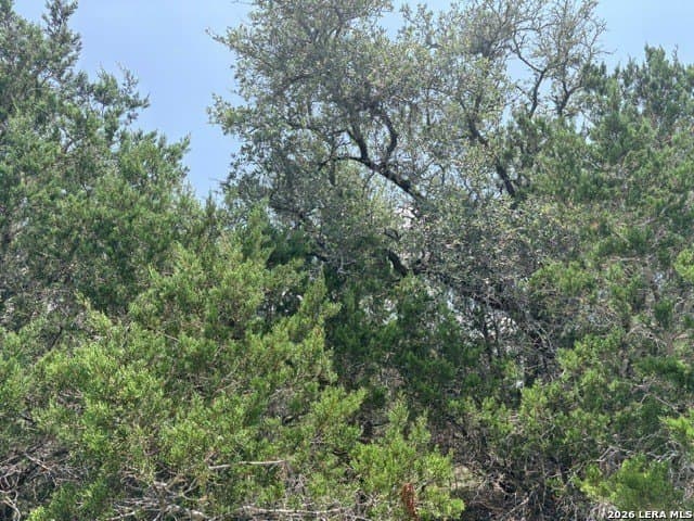 3 acres in Comal County - photo 6