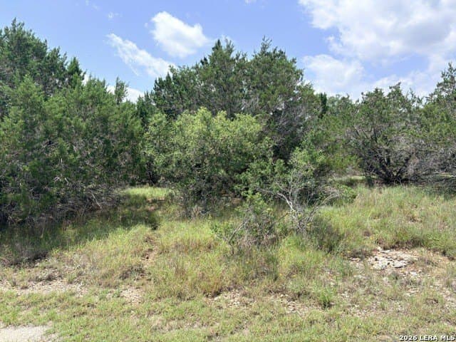 3 acres in Comal County gallery image 4