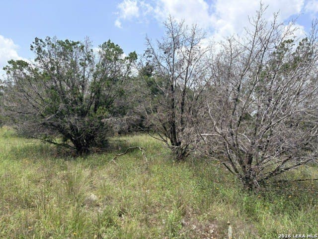 3 acres in Comal County - photo 12
